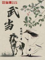 武当派