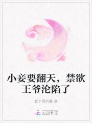 王爷小妾重生