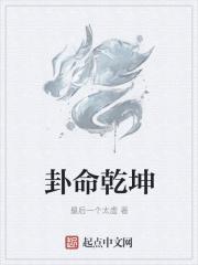 卦卦有乾坤