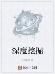 深度挖掘技术