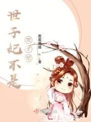 世子妃简介