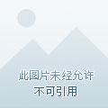 致命嫡女深蓝浅蓝