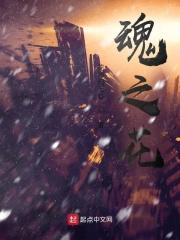 追逐光影英文