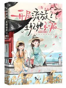 王妃她把皇城搬空了