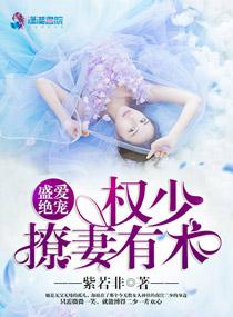 盛爱绝宠之权少撩妻有术