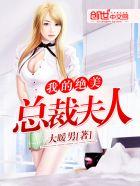 我的绝美总裁夫人介绍