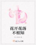 宗少和林辛言的