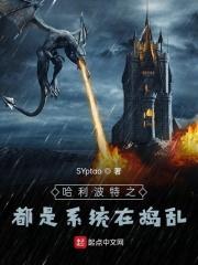 哈利波特 战斗系统