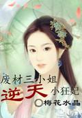 废材三小姐第一狂妃三