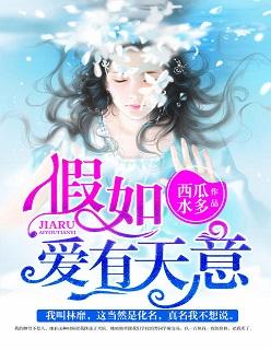 假如爱有天意电影简介