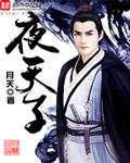 夜天子几个老婆