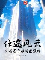 仕途之风云再起