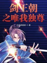 剑王朝无弹窗阅读