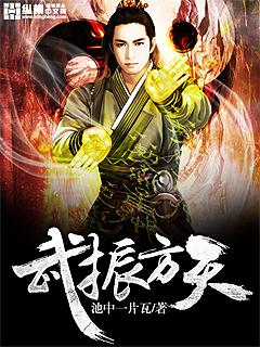 方振武电视剧