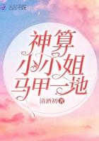 神算大小姐全文免费